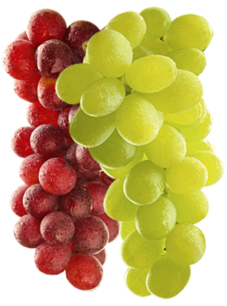Grapes
