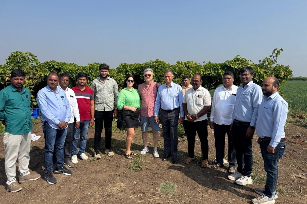 Lower volumes, but stable season for grapes from India