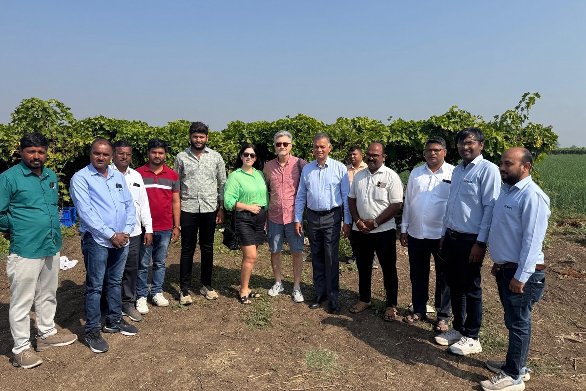 Lower volumes, but stable season for grapes from India